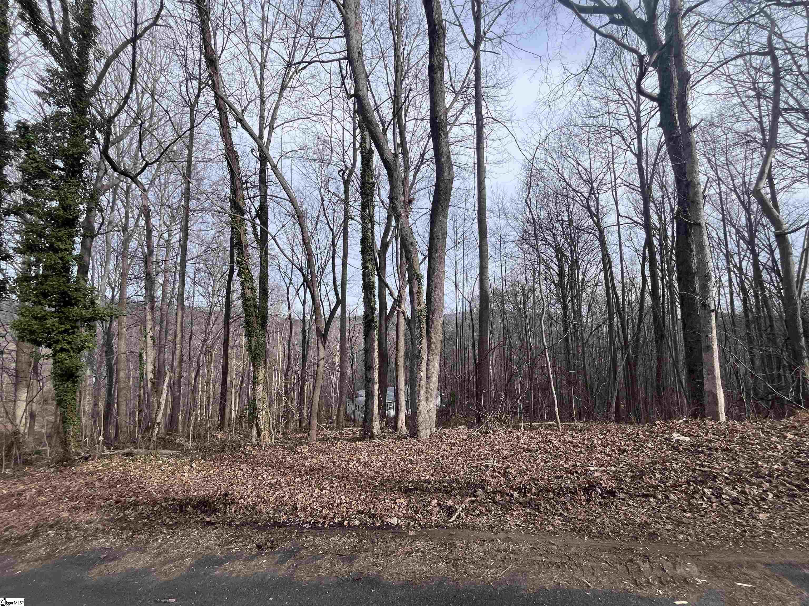 0 Wildflower Lane Travelers Rest, SC 29690 - Photo 8 of 8