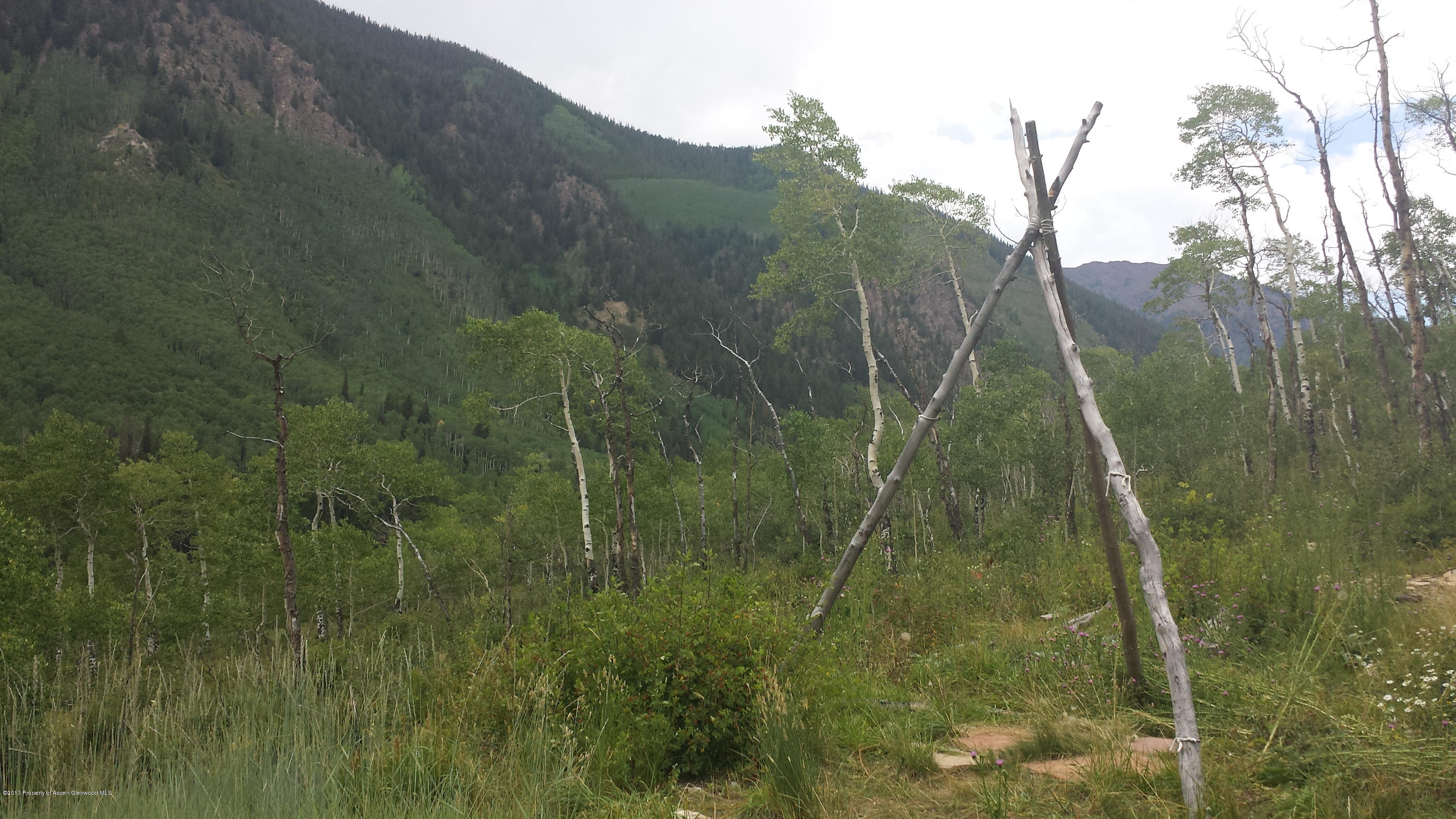 Tbd Castle Creek Road Aspen, CO 81612 - Photo 2 of 2 20130829_133458