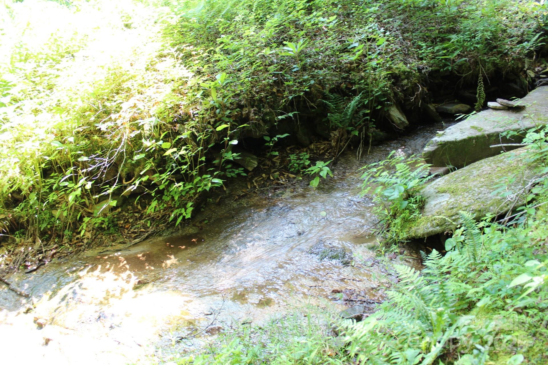 14 Long Branch Road, Unit 14 Pisgah Forest, NC 28768 - Photo 11 of 32 a backyard of a house with lots of green space