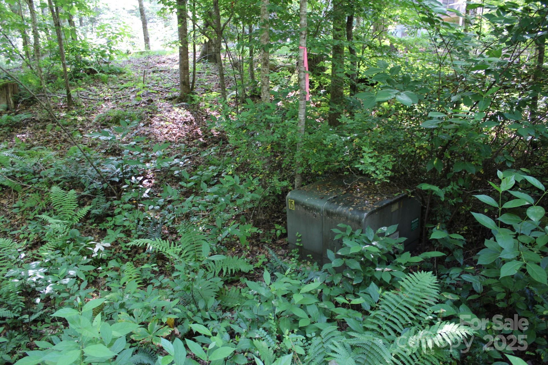 14 Long Branch Road, Unit 14 Pisgah Forest, NC 28768 - Photo 17 of 32 a view of a garden with plants and large trees