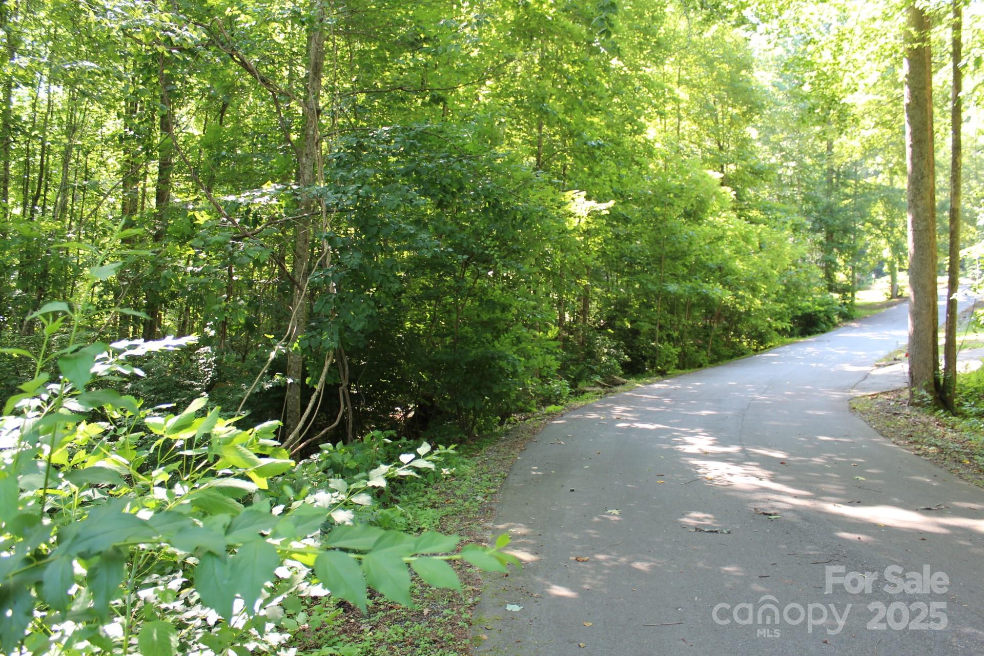 14 Long Branch Road, Unit 14 Pisgah Forest, NC 28768 - Photo 18 of 32 a backyard of a house with lots of green space and garden