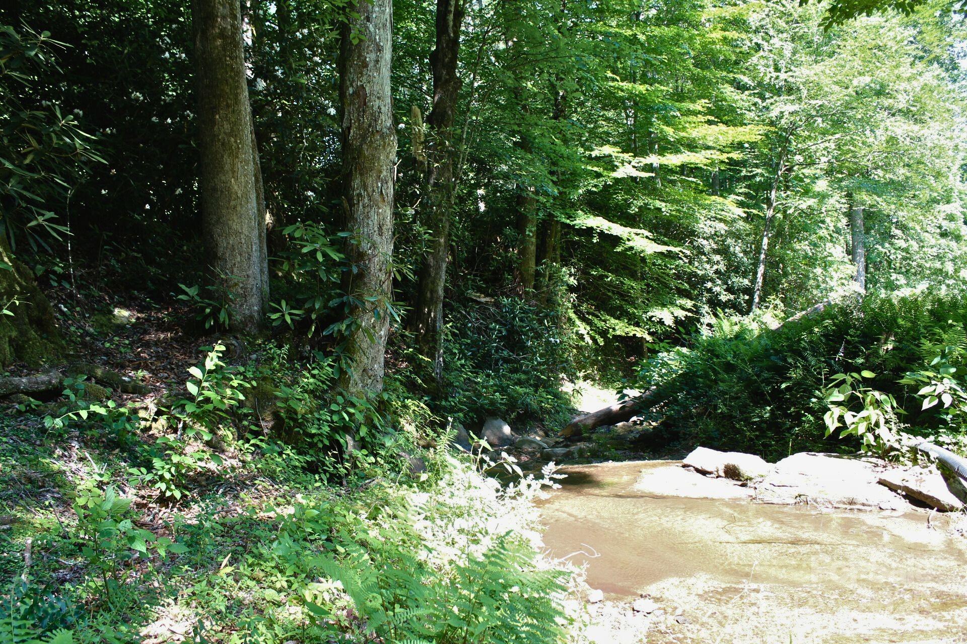 14 Long Branch Road, Unit 14 Pisgah Forest, NC 28768 - Photo 2 of 32 a view of a yard