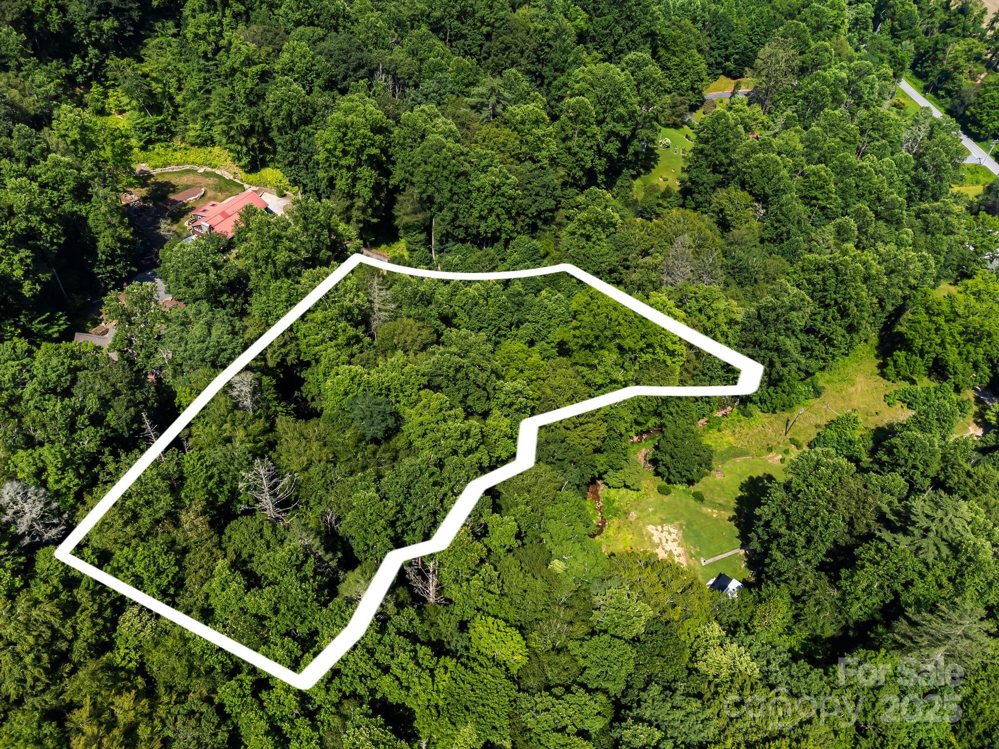 14 Long Branch Road, Unit 14 Pisgah Forest, NC 28768 - Photo 6 of 32 a view of a yard with plants