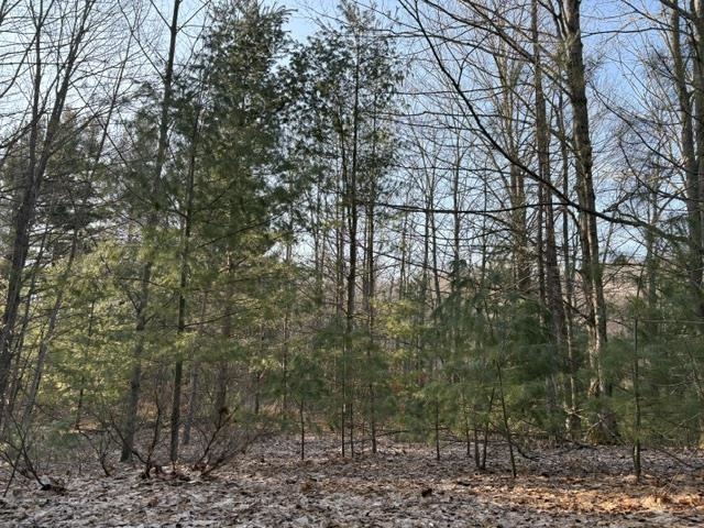 West Trumbull Road, Unit LOT: N/A Maple City, MI 49664 - Photo 6 of 14