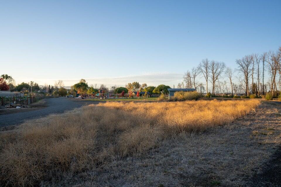 325 Cabbage Lane Phoenix, OR 97535 - Photo 33 of 35 Walking distance to Blue Heron Park