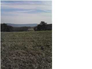 561 Bob Sapp Road Pikeville, TN 37367 - Photo 1 of 8 Primary Photo