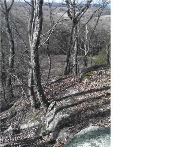 561 Bob Sapp Road Pikeville, TN 37367 - Photo 2 of 8 Additional Photo