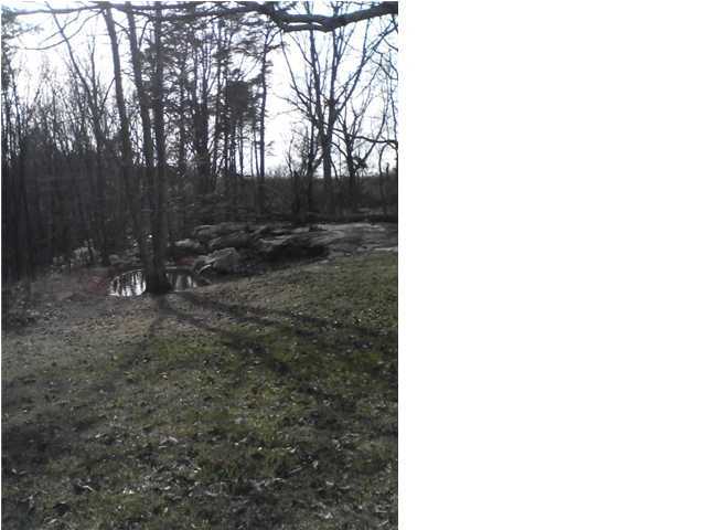 561 Bob Sapp Road Pikeville, TN 37367 - Photo 5 of 8 Additional Photo