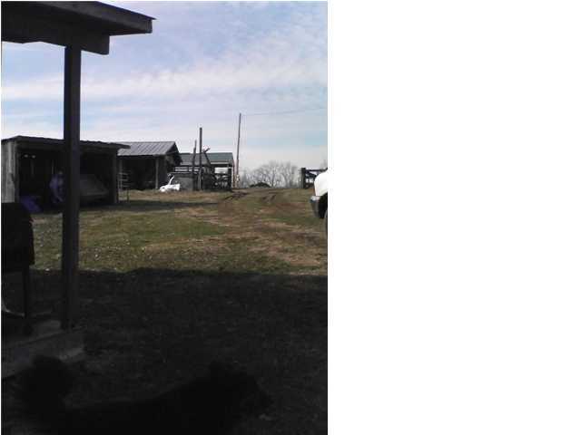 561 Bob Sapp Road Pikeville, TN 37367 - Photo 6 of 8 Additional Photo