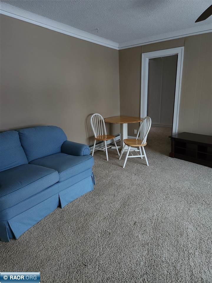 308 6th Street South Virginia, MN 55792 - Photo 29 of 31
