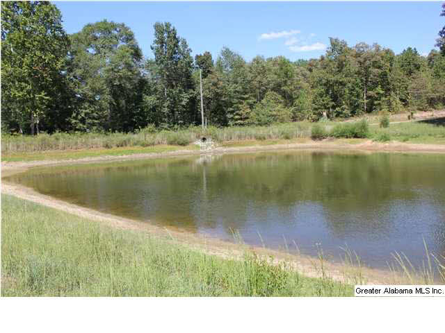 13084 Jackson Trace Road, Unit 94 83 AC Lincoln, AL 35096 - Photo 12 of 32