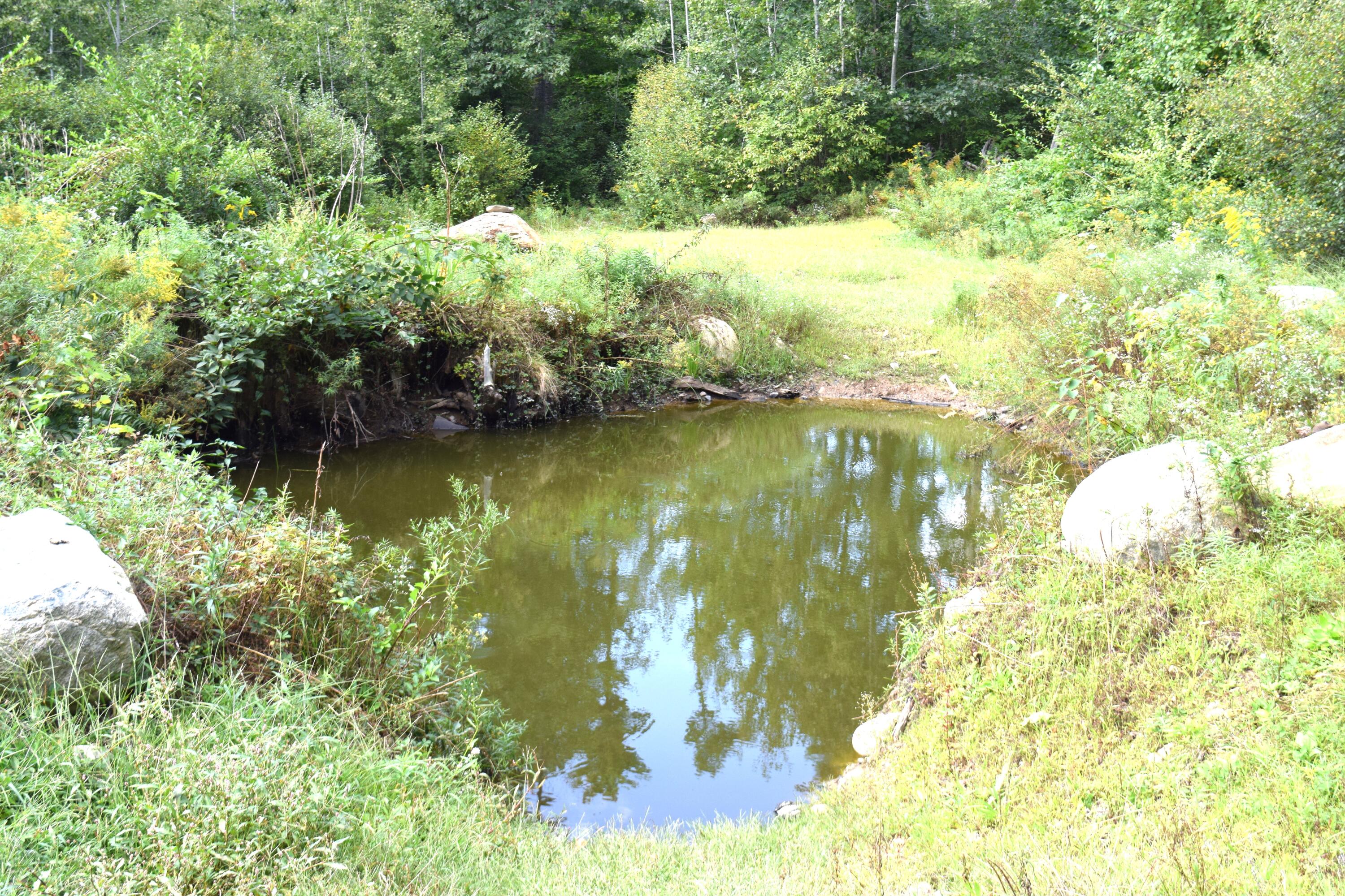 112 Portland Road Buxton, ME 04093 - Photo 2 of 23 pond