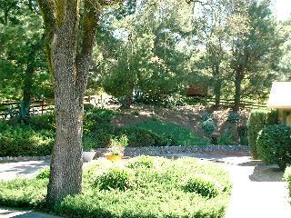 1375 Hopi Trail Santa Rosa, CA 95404 - Photo 7 of 10 a view of a yard with plants and large trees