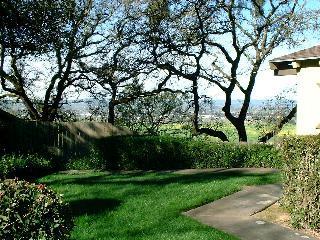 1375 Hopi Trail Santa Rosa, CA 95404 - Photo 9 of 10 a view of a garden
