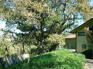 1375 Hopi Trail Santa Rosa, CA 95404 - Photo 10 of 10 a view of a house with a tree