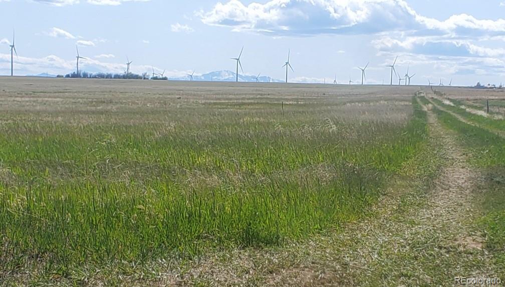 8990 Mulberry Road Calhan, CO 80808 - Photo 5 of 5 Gallery Image 5