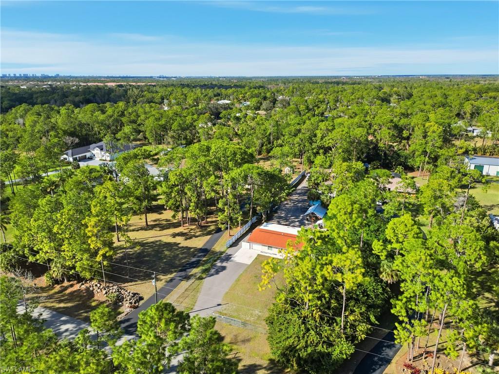 6005 Star Grass Lane Naples, FL 34116 - Photo 42 of 44 Drone / aerial view of a forest