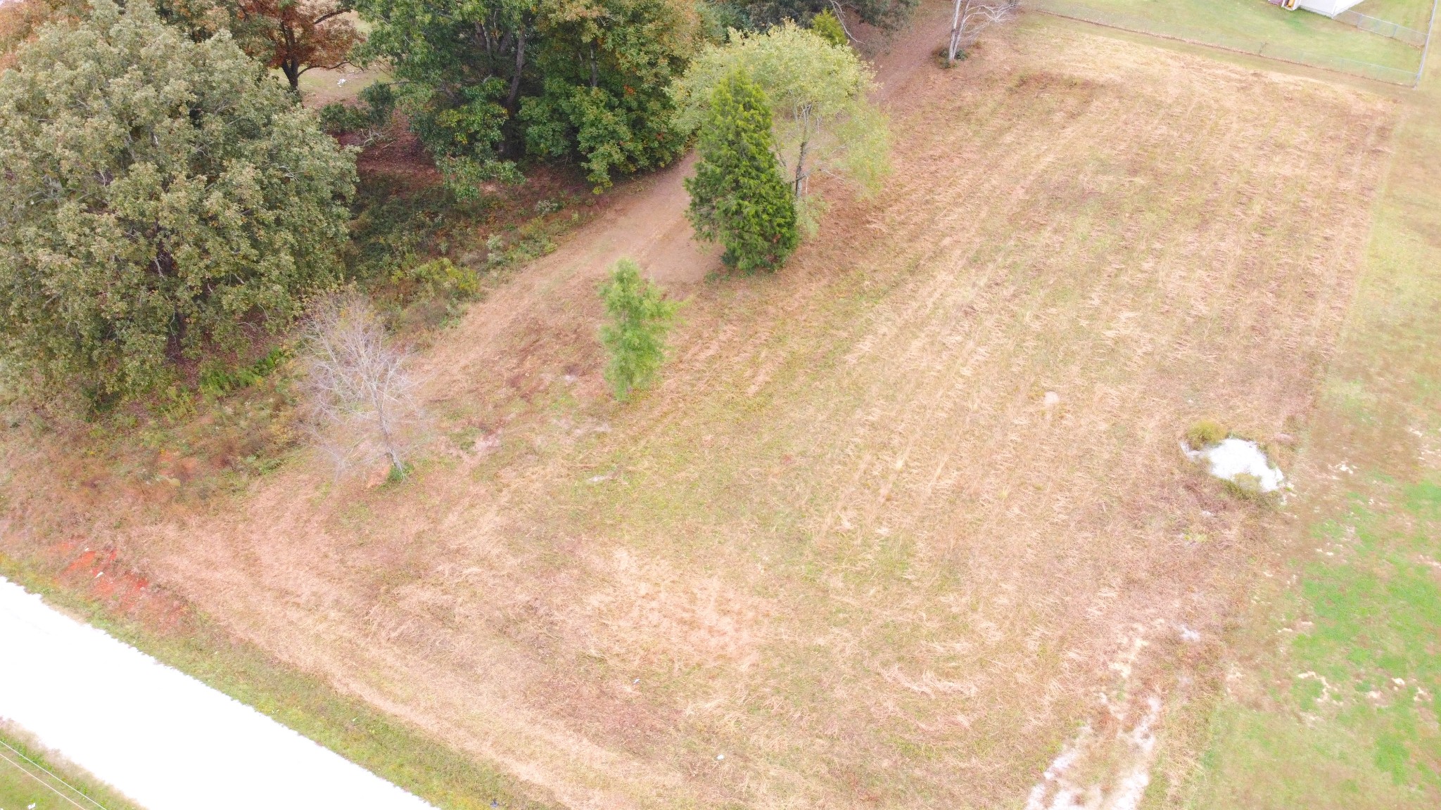 0 Dugout Road Southeast Summertown, TN 38483 - Photo 3 of 10 Gallery Image 3