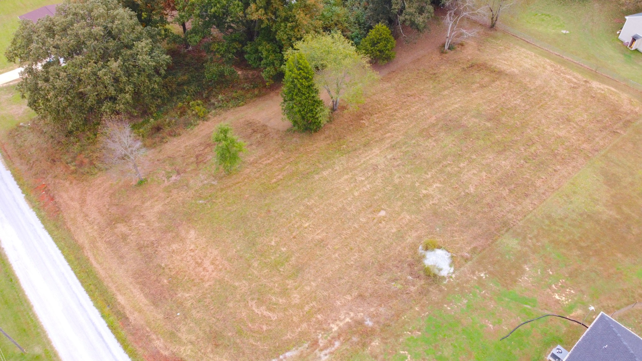0 Dugout Road Southeast Summertown, TN 38483 - Photo 4 of 10 Gallery Image 4