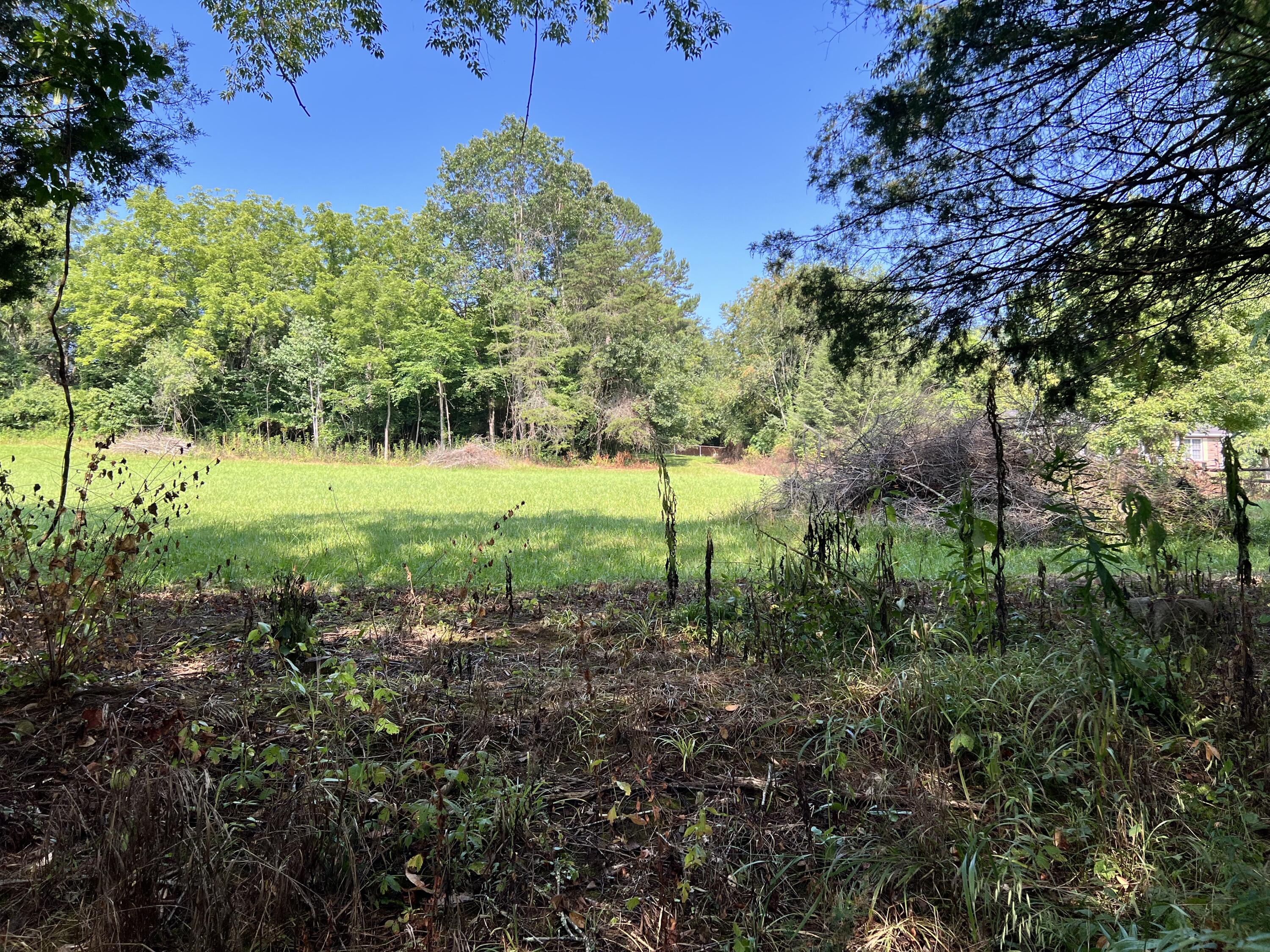 Lot 5 Malone Road, Unit 5 Watauga, TN 37694 - Photo 1 of 3 67EF9426-62A8-4ECE-A497-214A4E51D9FB