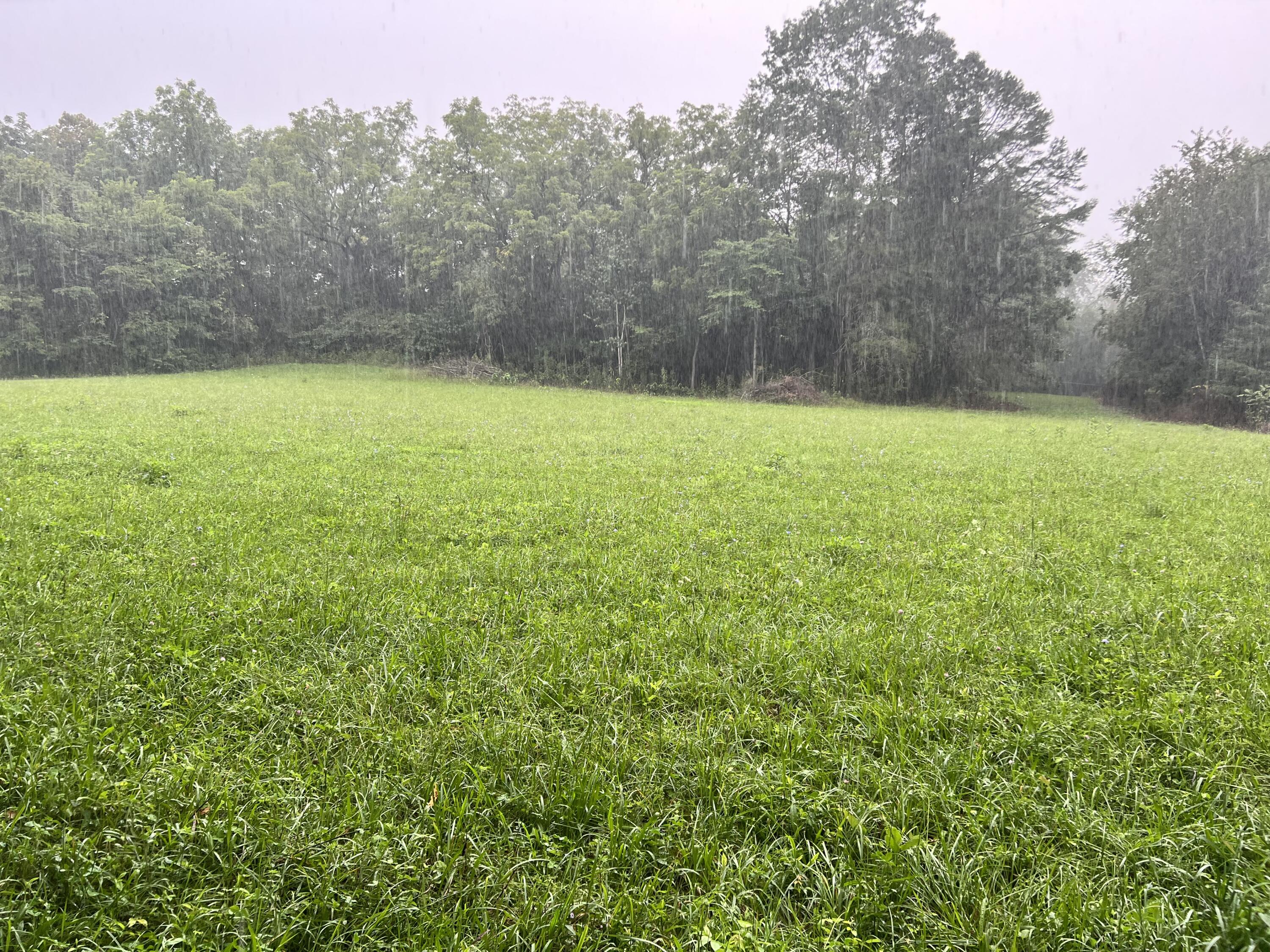 Lot 5 Malone Road, Unit 5 Watauga, TN 37694 - Photo 2 of 3 B6B8A0F2-B463-4A33-AACA-AE307E979FB5