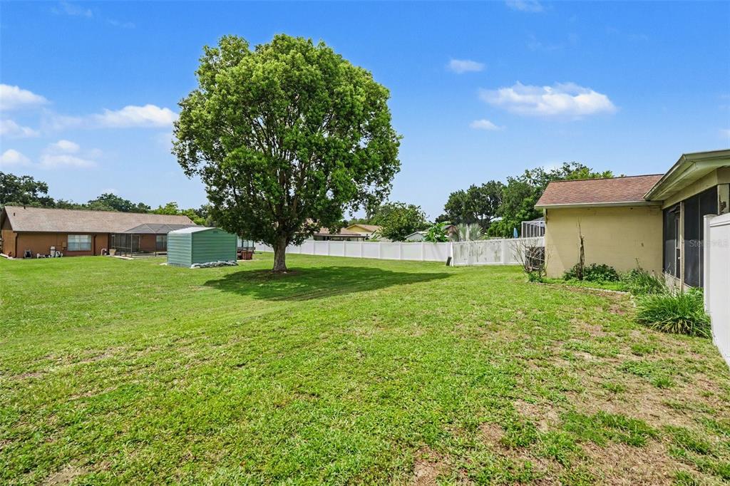 2815 Linden Tree Street Seffner, FL 33584 - Photo 24 of 27