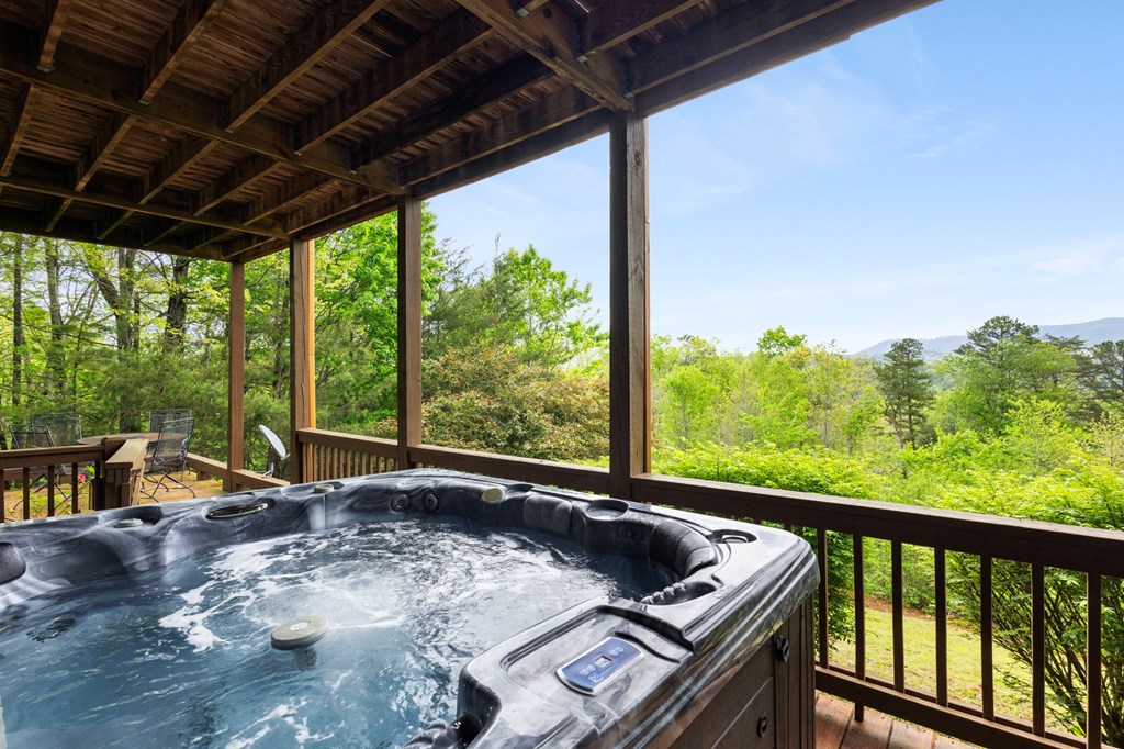 940 Whispering Lake Drive Blue Ridge, GA 30513 - Photo 60 of 70 Terrace Bedroom 2