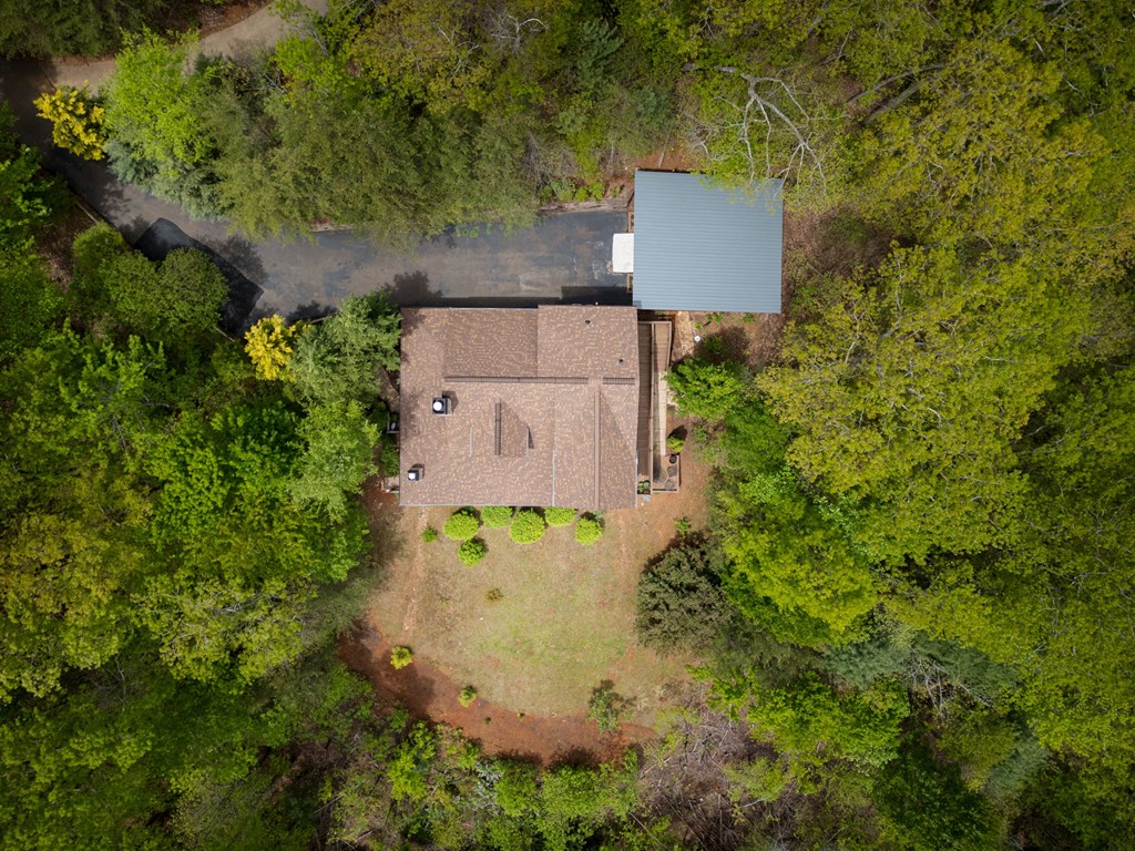 940 Whispering Lake Drive Blue Ridge, GA 30513 - Photo 63 of 70