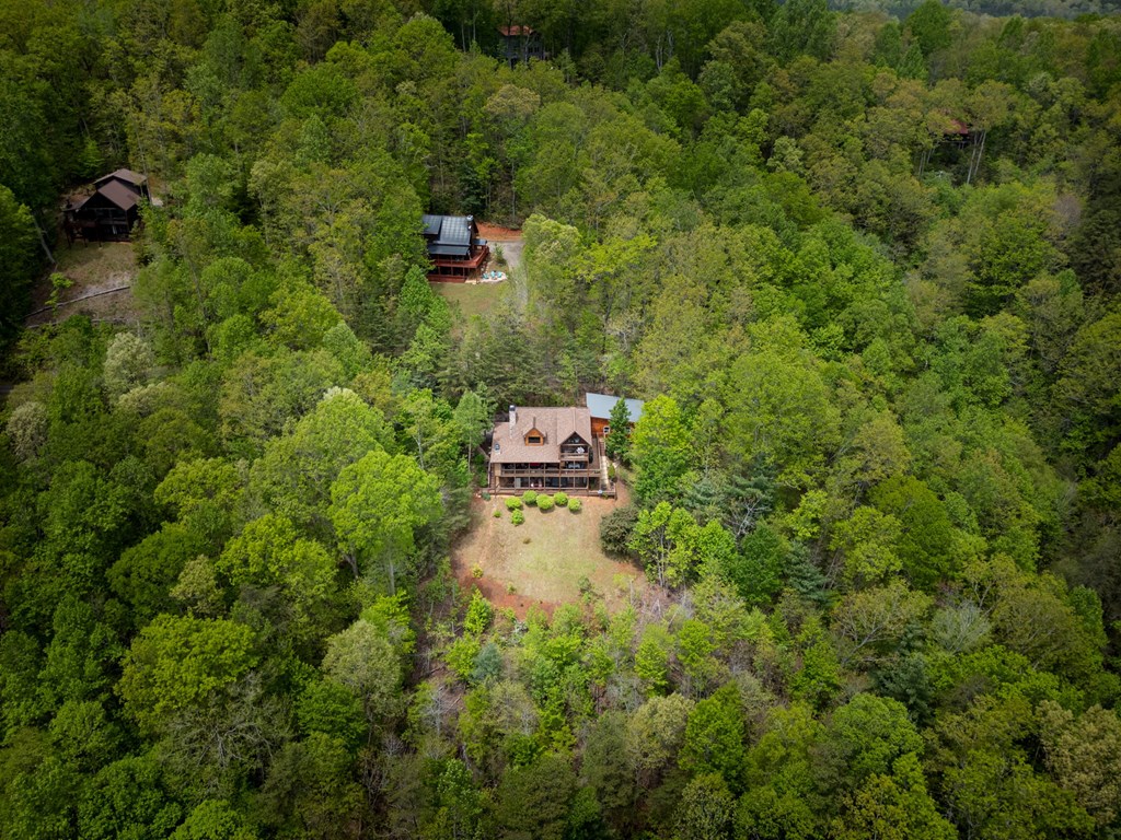940 Whispering Lake Drive Blue Ridge, GA 30513 - Photo 65 of 70
