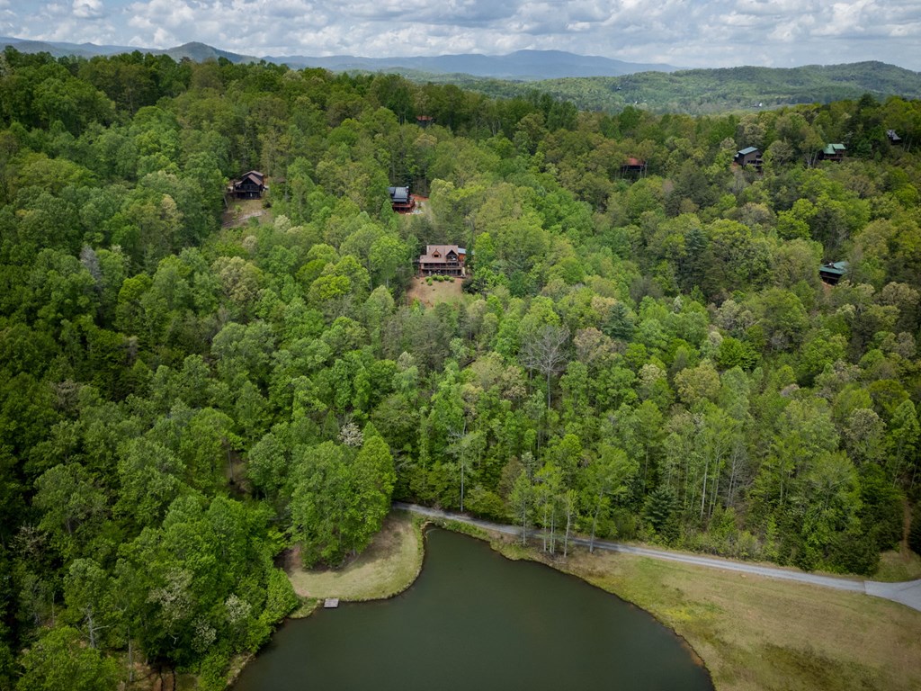 940 Whispering Lake Drive Blue Ridge, GA 30513 - Photo 66 of 70