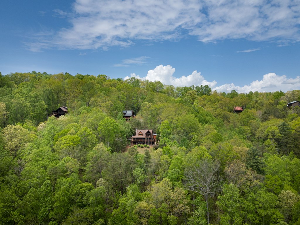 940 Whispering Lake Drive Blue Ridge, GA 30513 - Photo 67 of 70