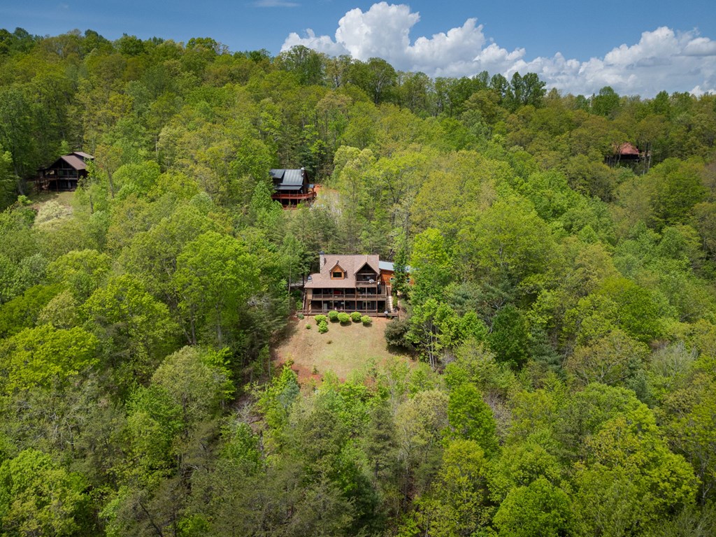 940 Whispering Lake Drive Blue Ridge, GA 30513 - Photo 68 of 70