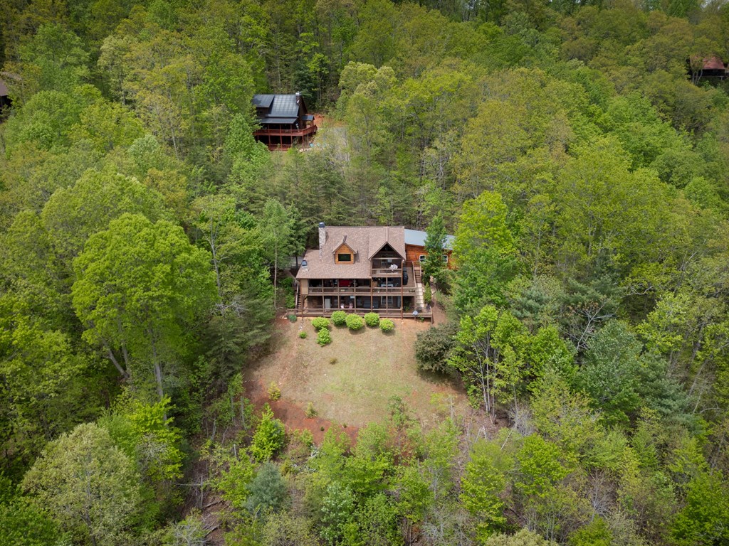 940 Whispering Lake Drive Blue Ridge, GA 30513 - Photo 69 of 70