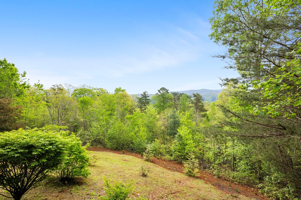 940 Whispering Lake Drive Blue Ridge, GA 30513 - Photo 70 of 70