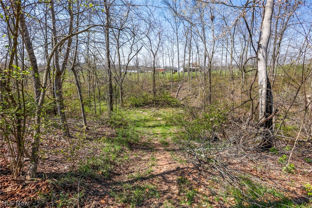 4502 Clover Road Cumberland, OH 43732 - Photo 28 of 38 View of undeveloped land