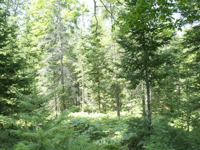 Lot 13 Cth Street Sayner, WI 54560 - Photo 1 of 8 Gallery Image 1