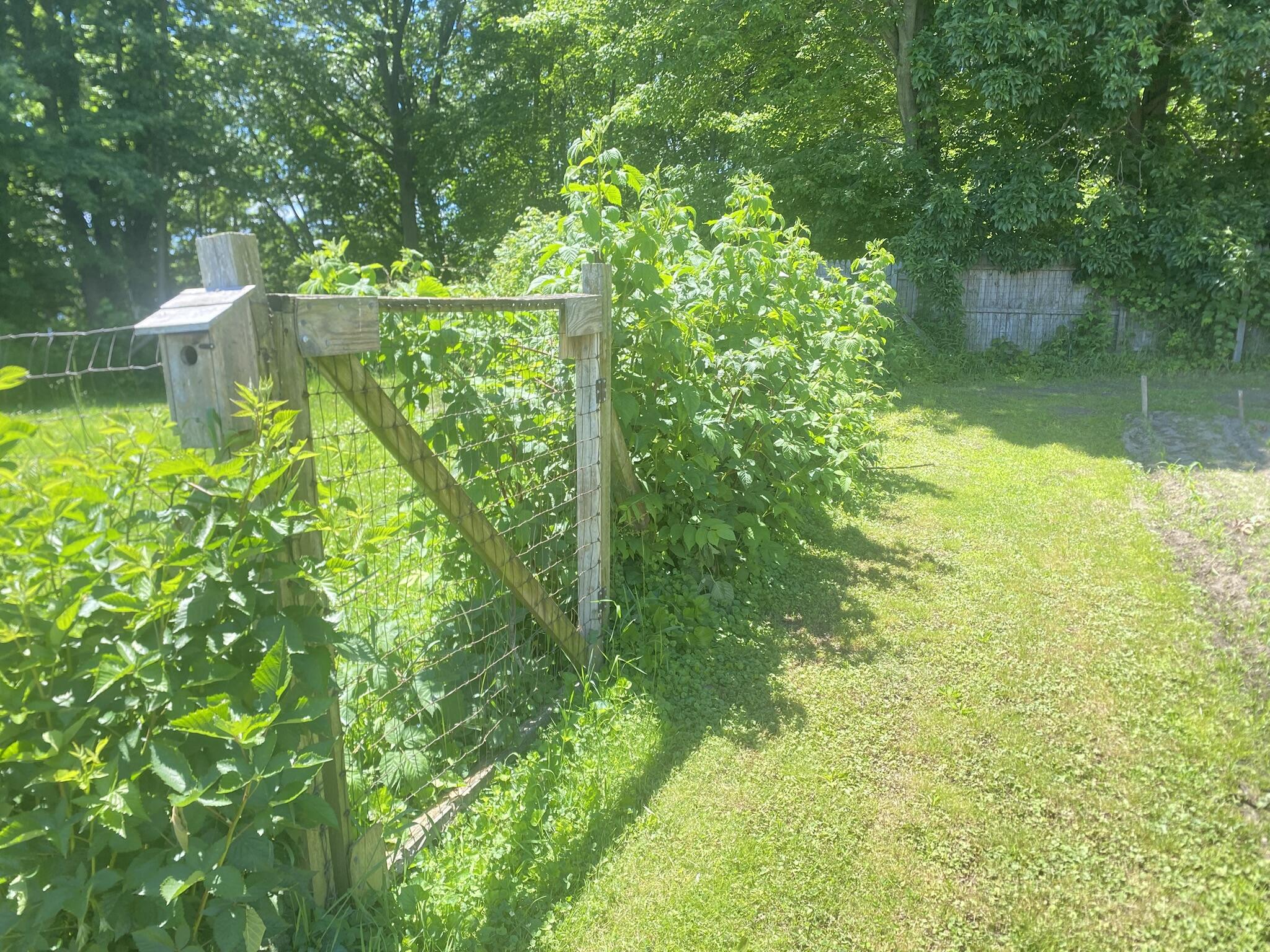 12915 Cassidy Road Bellevue, MI 49021 - Photo 113 of 128 IMG_9387