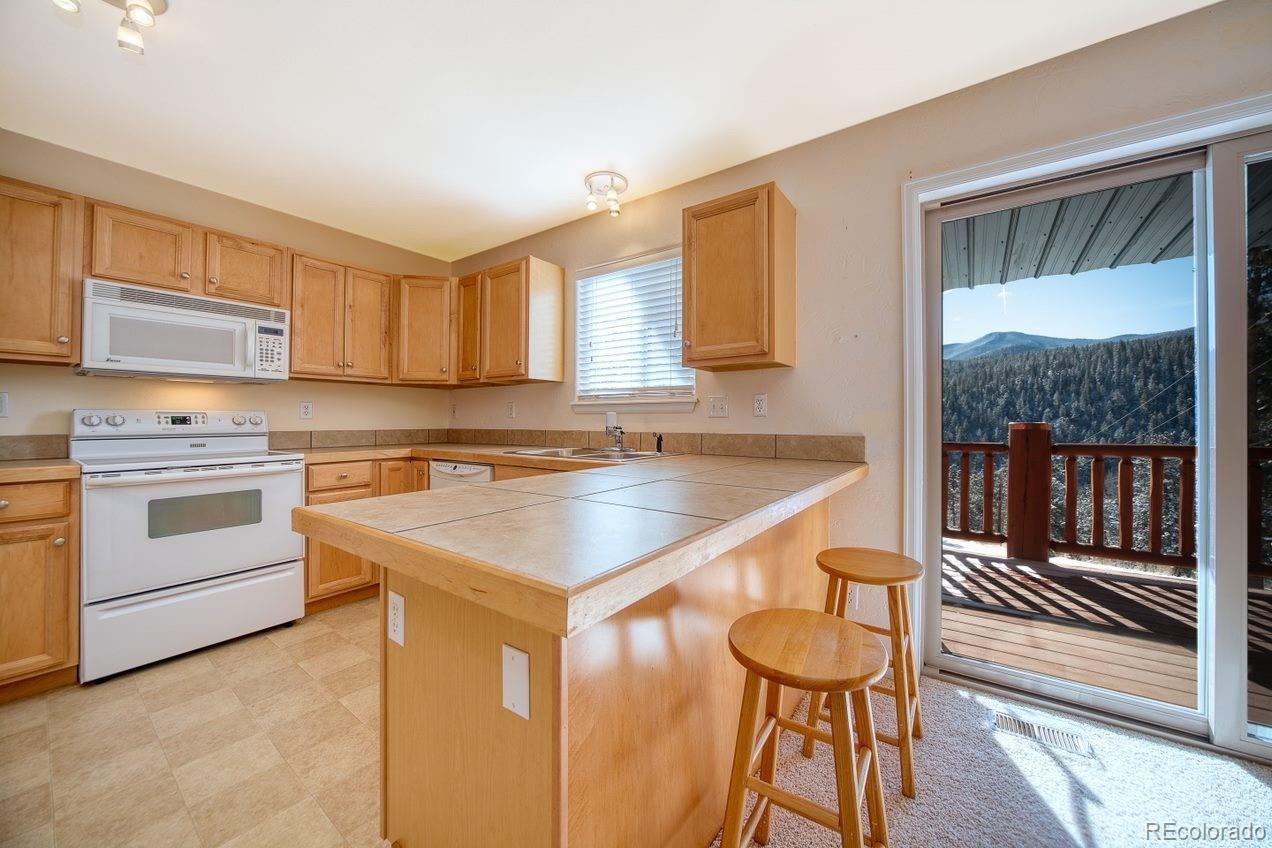 303 Virginia Road, Unit D Bailey, CO 80421 - Photo 4 of 20 Gallery Image 4