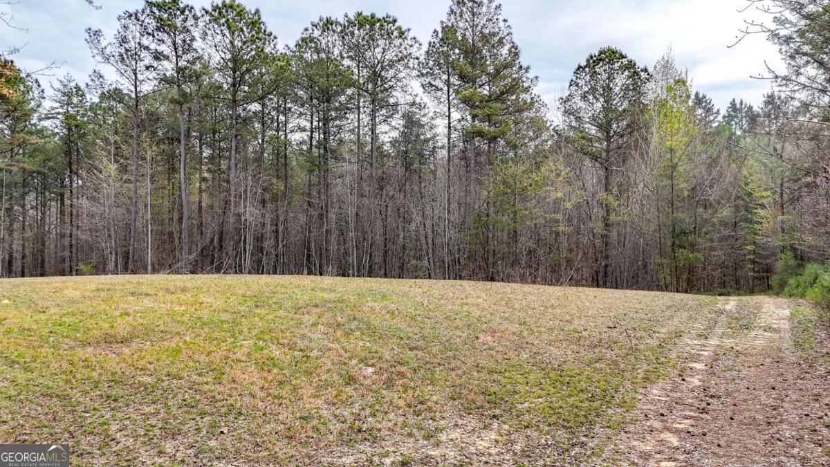 0 Felton Rockmart Road Buchanan, GA 30113 - Photo 24 of 47