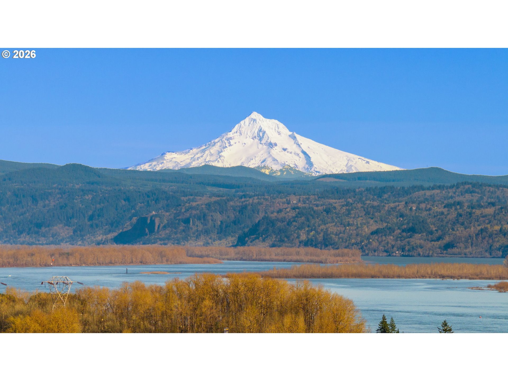 512 Northwest Elm Street Camas, WA 98607 - Photo 3 of 13