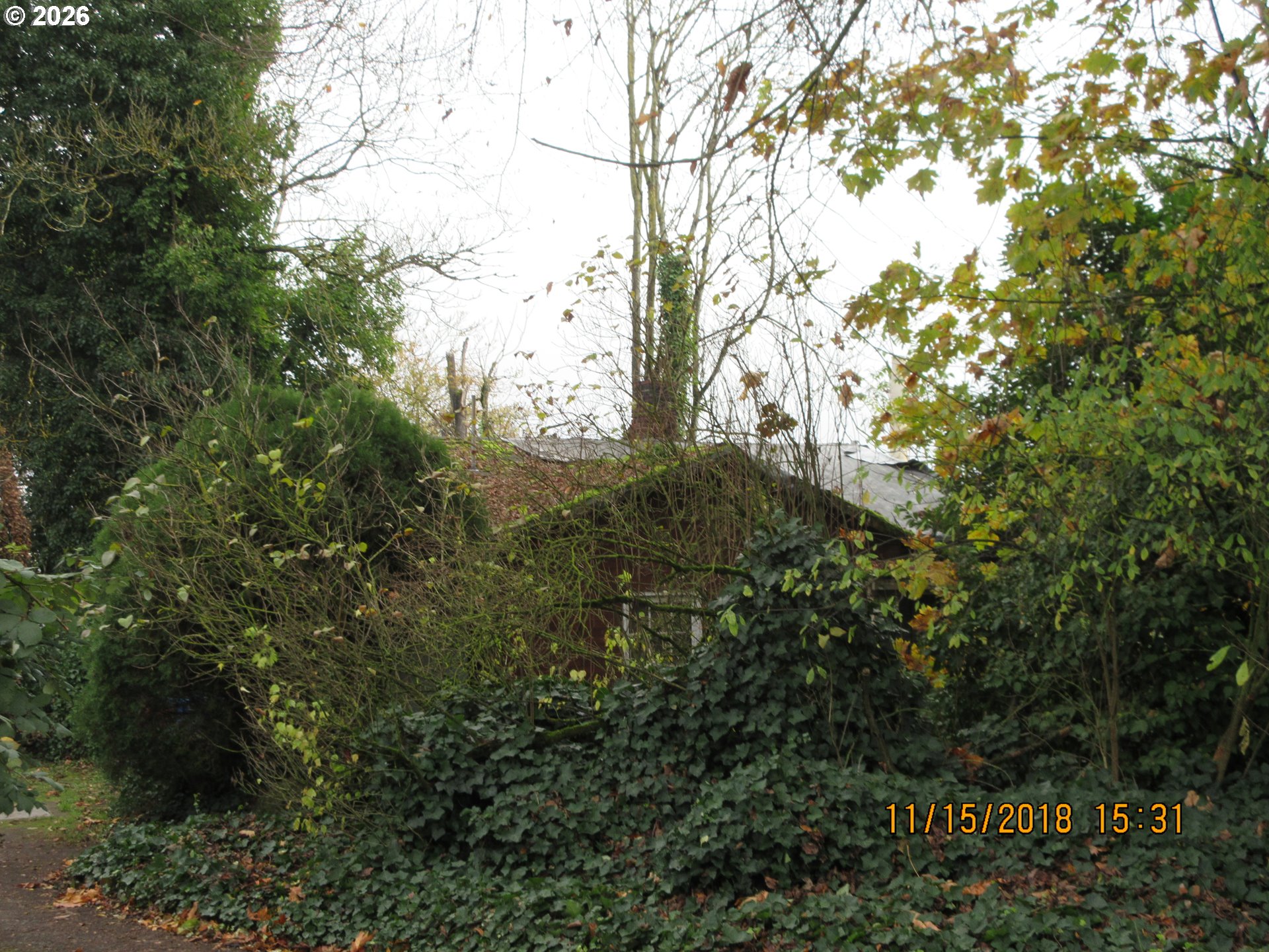 512 Northwest Elm Street Camas, WA 98607 - Photo 10 of 13