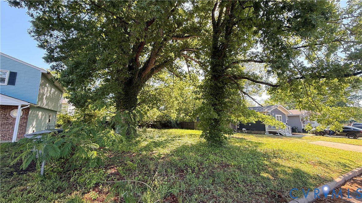 806 Ridgeway Avenue Hampton, VA 23661 - Photo 2 of 7 Open lot featuring established trees and green spa