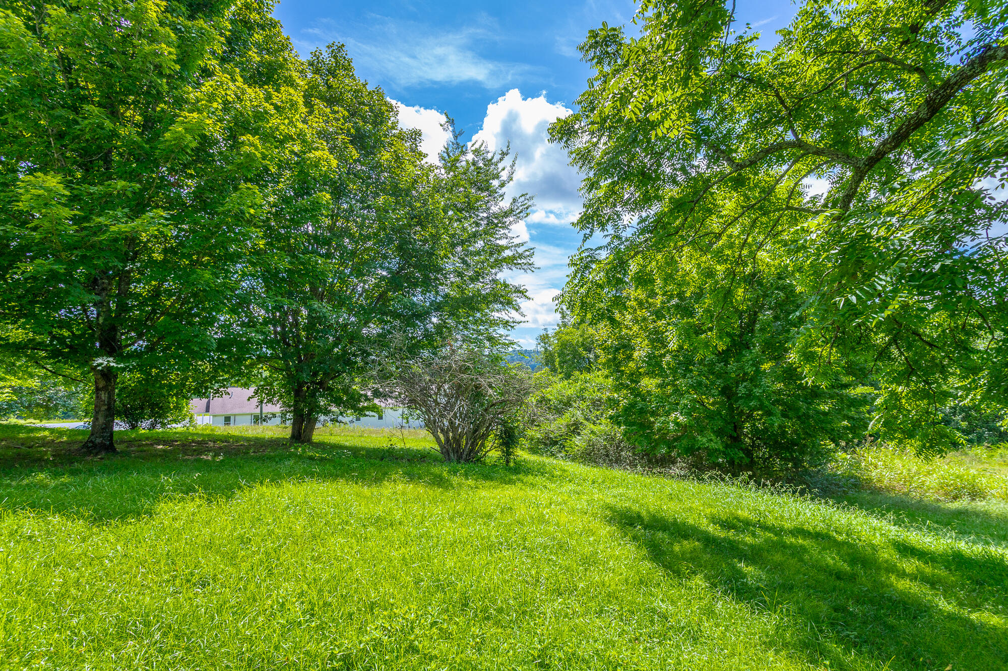 9514 East Brainerd Road Chattanooga, TN 37421 - Photo 34 of 42 Back Yard