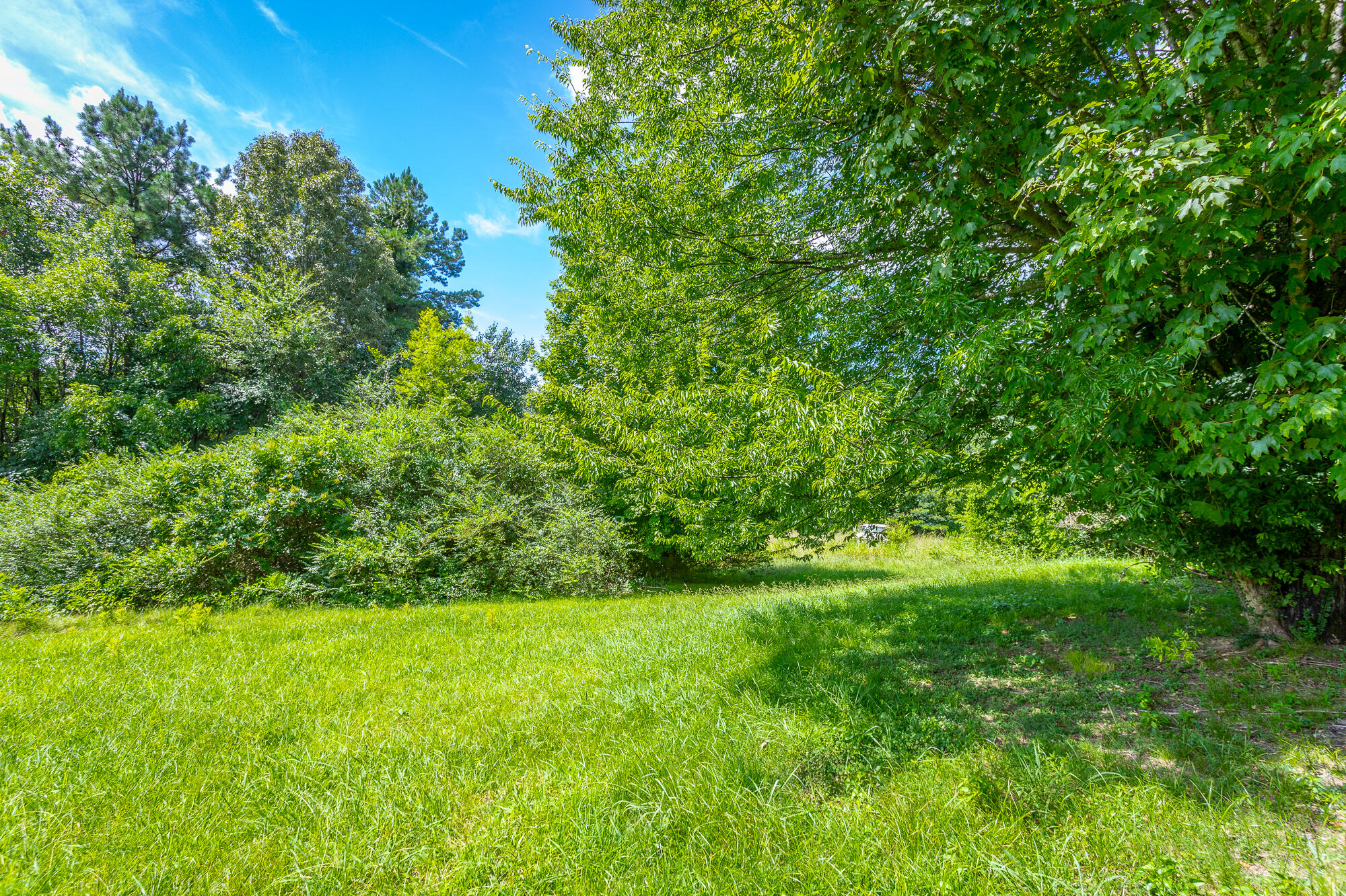 9514 East Brainerd Road Chattanooga, TN 37421 - Photo 36 of 42 Back Yard