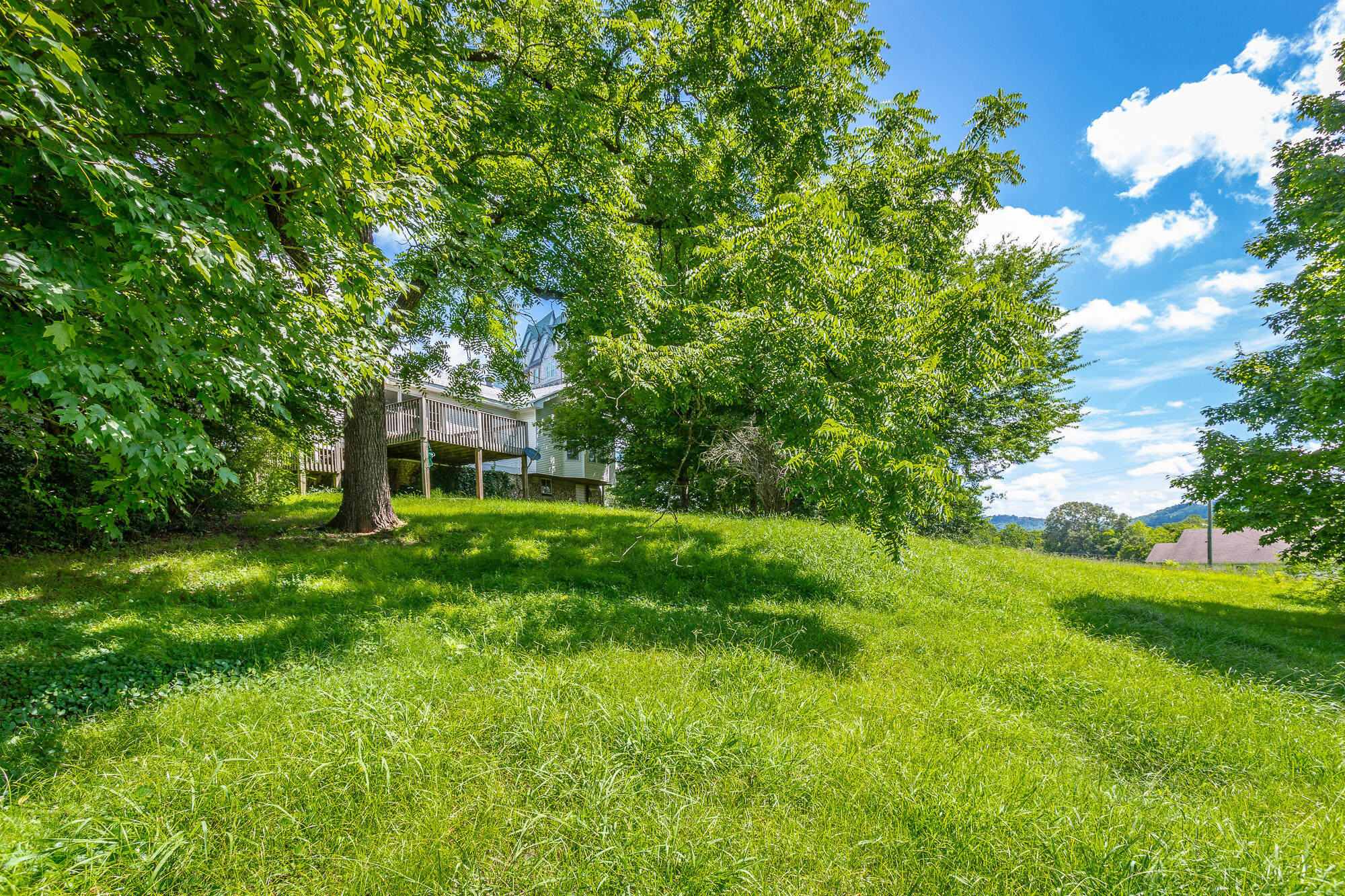 9514 East Brainerd Road Chattanooga, TN 37421 - Photo 38 of 42 Back Yard