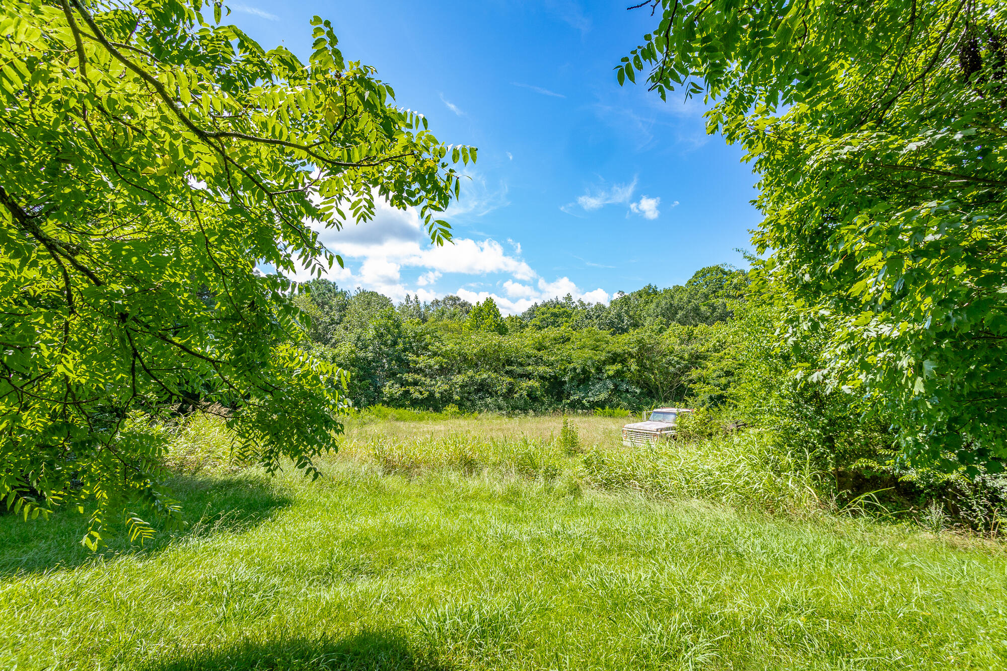 9514 East Brainerd Road Chattanooga, TN 37421 - Photo 39 of 42 Back Yard