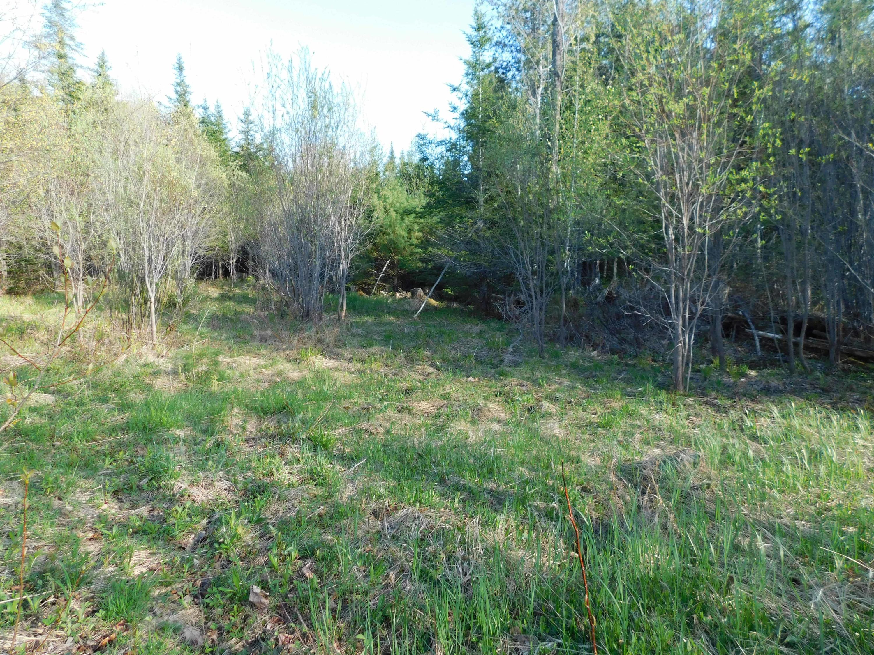 531 Charleston Road Dexter, ME 04930 - Photo 5 of 5 DSCN0091