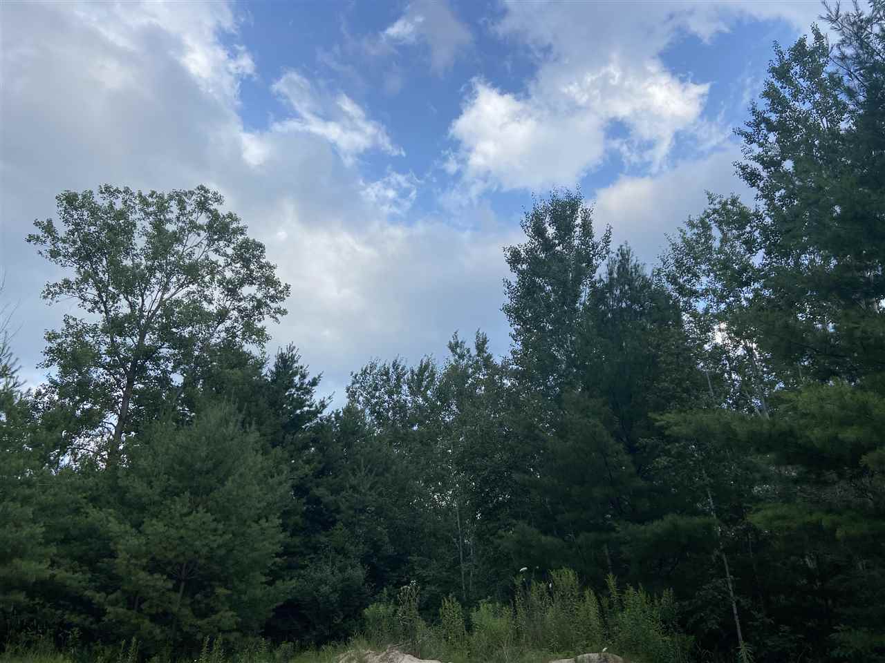 0 North Flajole Road Rhodes, MI 48652 - Photo 1 of 16