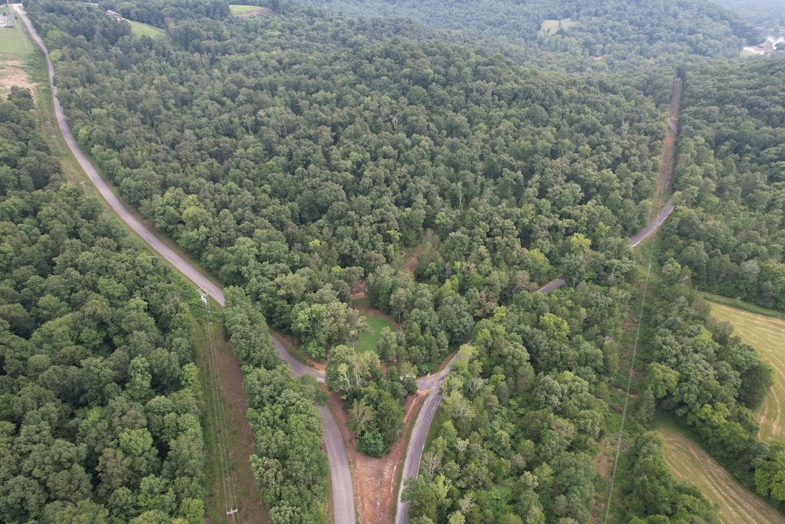 0 New Era Landing Road Linden, TN 37096 - Photo 12 of 18 a view of a forest with plants and large trees