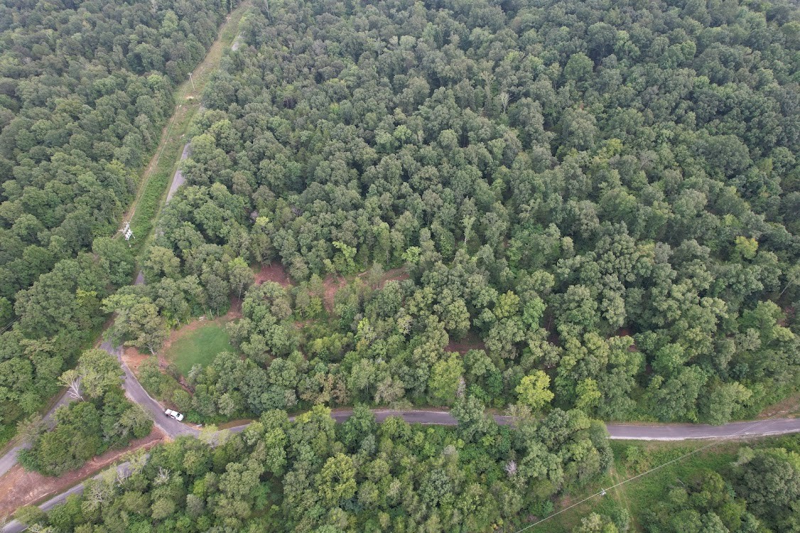 0 New Era Landing Road Linden, TN 37096 - Photo 13 of 18 a view of a field of grass and trees
